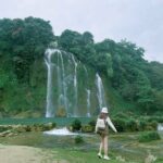 485403000 1106479354833997 5869717229252734478 N