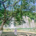 487319250 1115521307263135 4976641277632653294 N