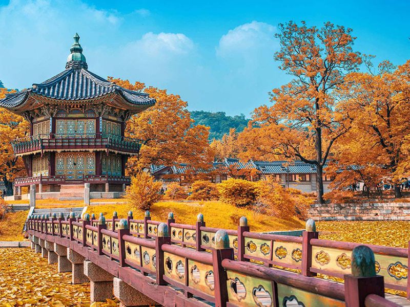 Đi Hàn Quốc 3 Ngày 2 Đêm, Lưu Trú Thế Nào Hợp Lý