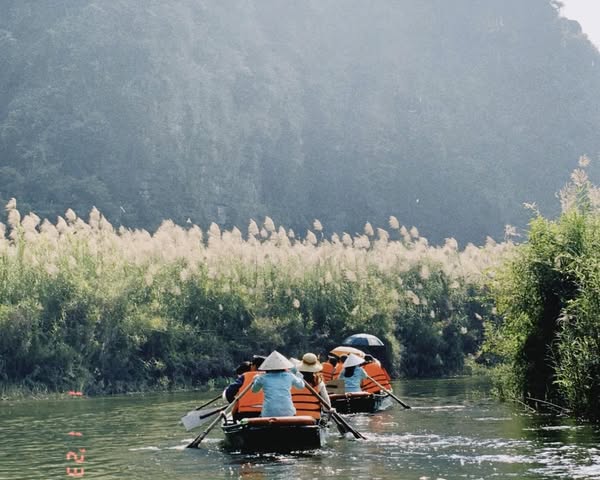 Lịch Trình Gợi Ý Cho Chuyến Du Lịch Tràng An 2 Ngày 1 Đêm